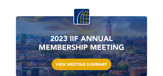 2023 IIF Annual Membership Meeting